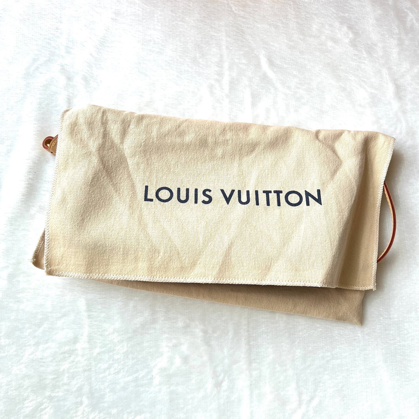 LOUIS VUITTON Monogram Pochette Accessoires