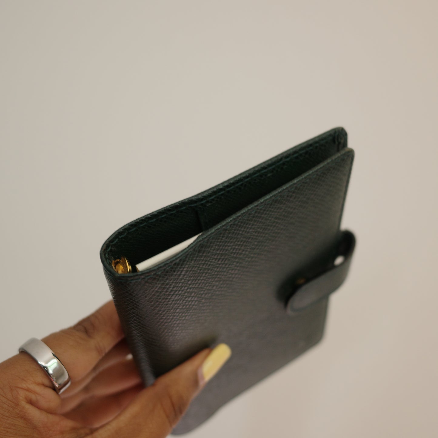 LOUIS VUITTON Taiga Leather Green Agenda PM
