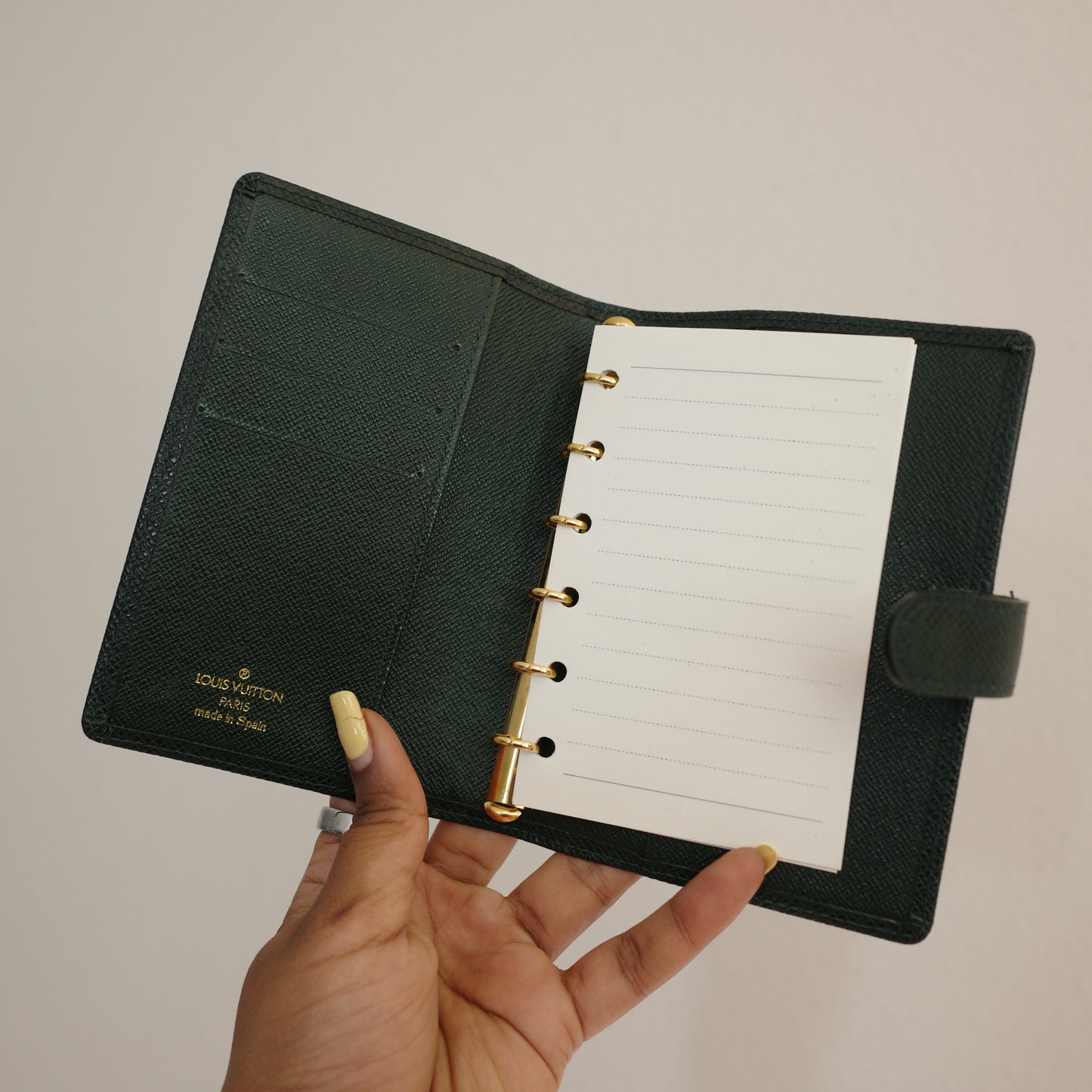LOUIS VUITTON Taiga Leather Green Agenda PM