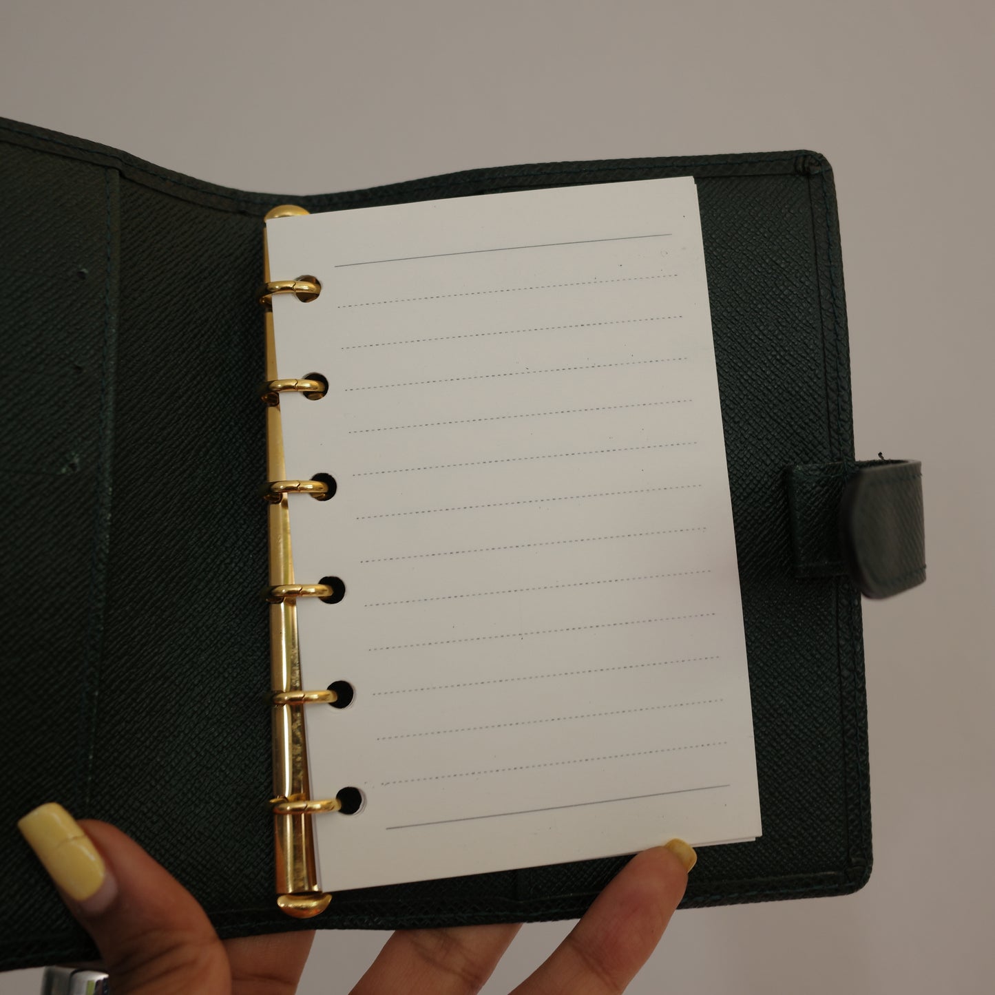 LOUIS VUITTON Taiga Leather Green Agenda PM