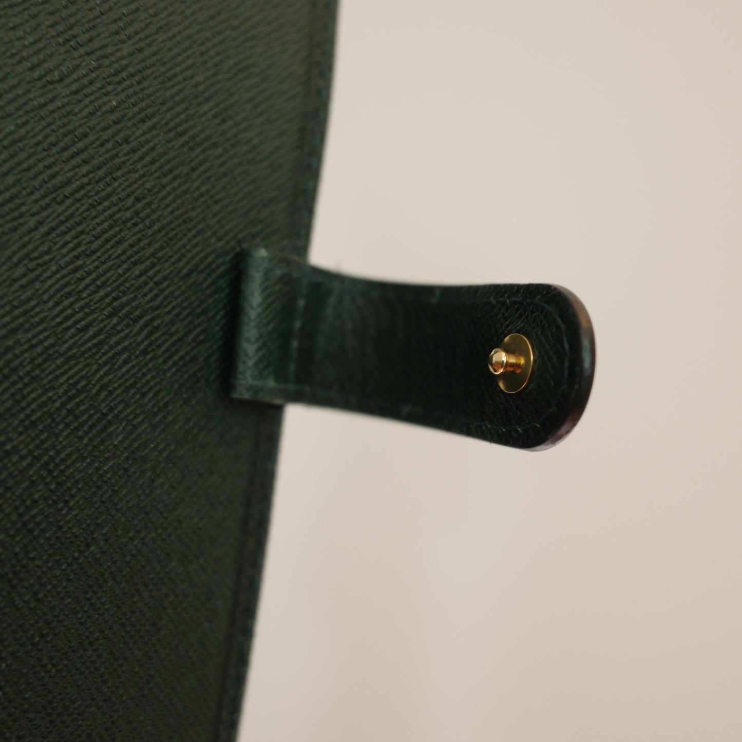 LOUIS VUITTON Taiga Leather Green Agenda PM