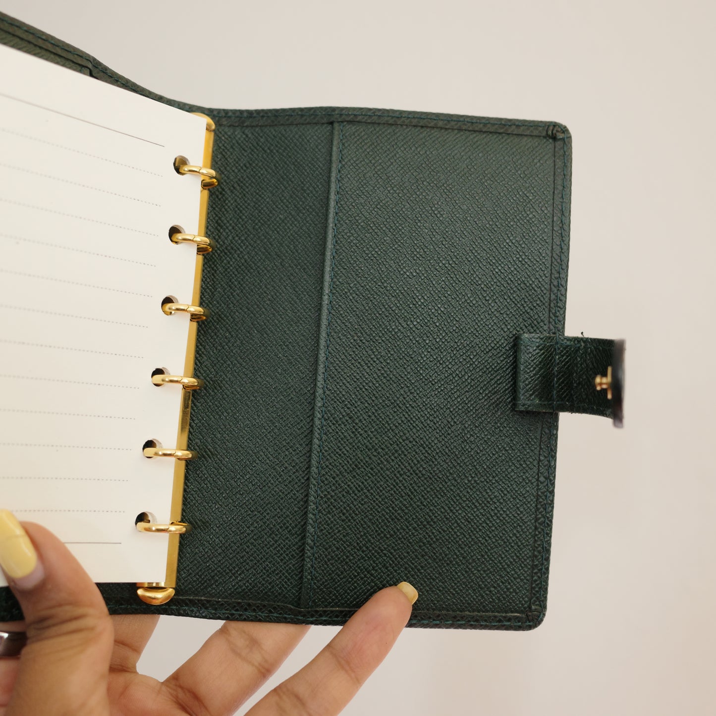 LOUIS VUITTON Taiga Leather Green Agenda PM