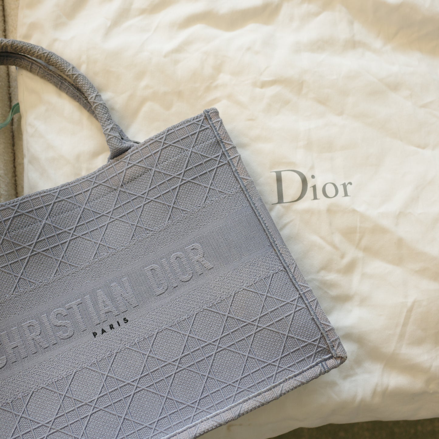 DIOR Blue Book Tote