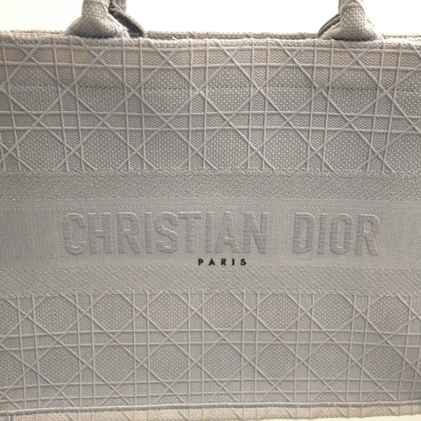 DIOR Blue Book Tote