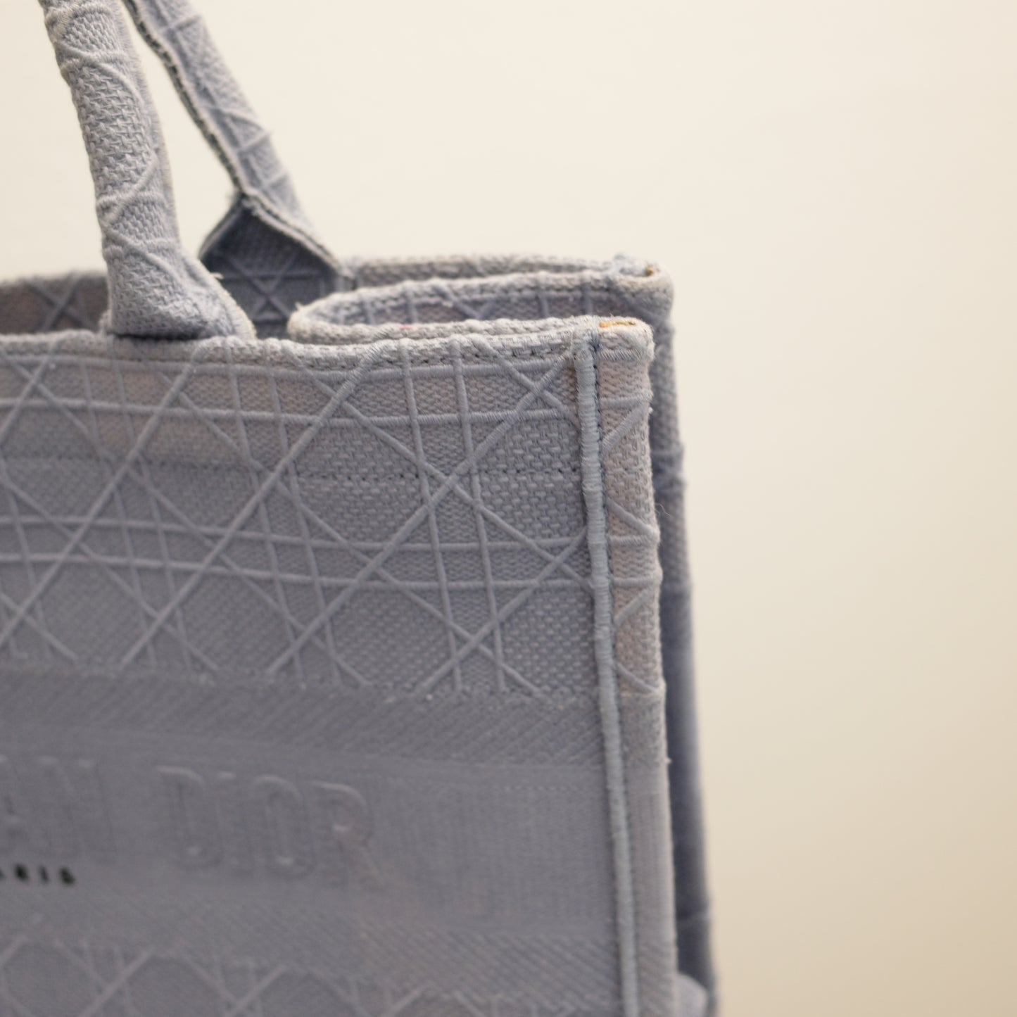 DIOR Blue Book Tote