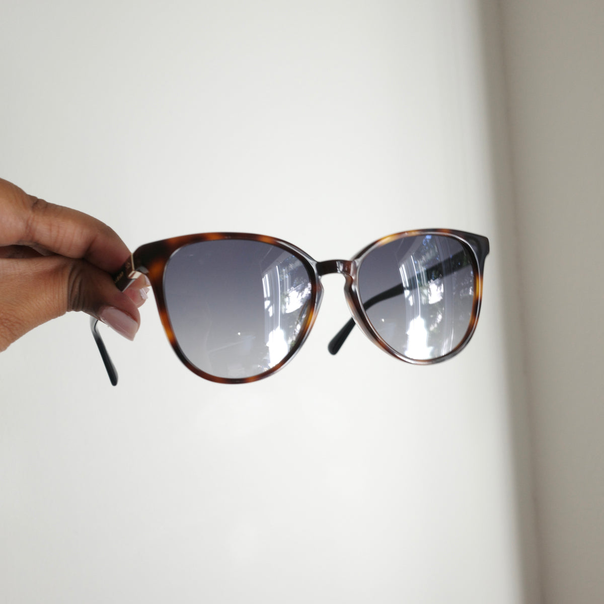 LONGCHAMP Tortoise Sunglasses NEW IN BOX