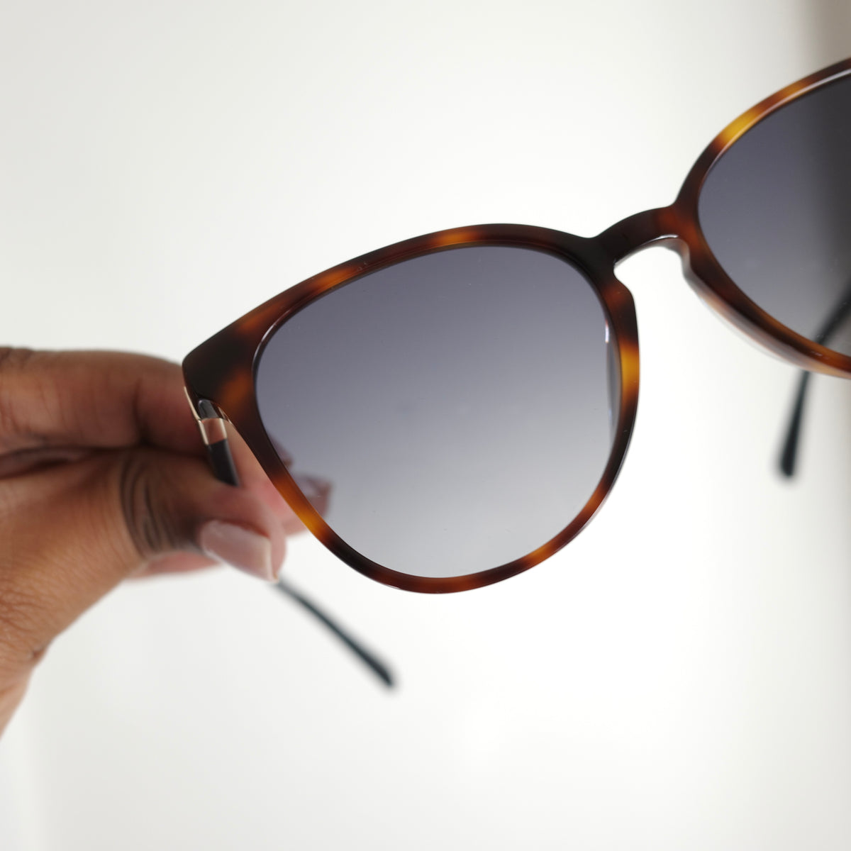 LONGCHAMP Tortoise Sunglasses NEW IN BOX
