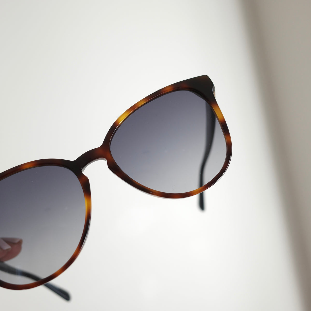 LONGCHAMP Tortoise Sunglasses NEW IN BOX