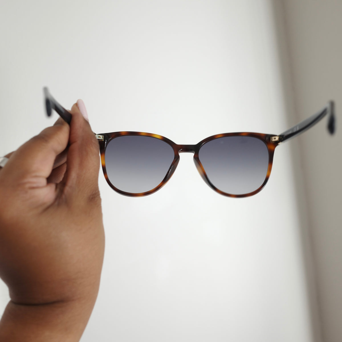 LONGCHAMP Tortoise Sunglasses NEW IN BOX