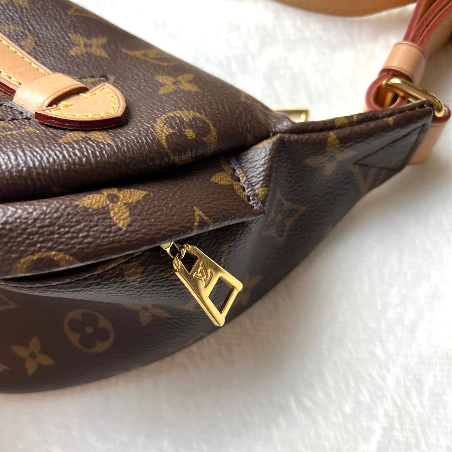 LOUIS VUITTON Monogram Bumbag