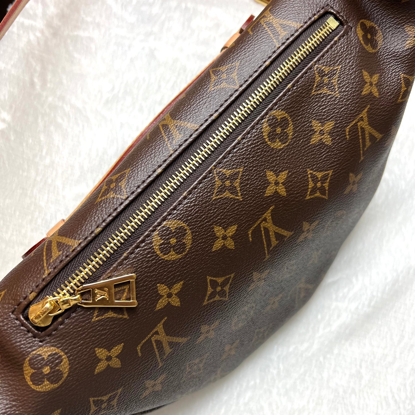 LOUIS VUITTON Monogram Bumbag