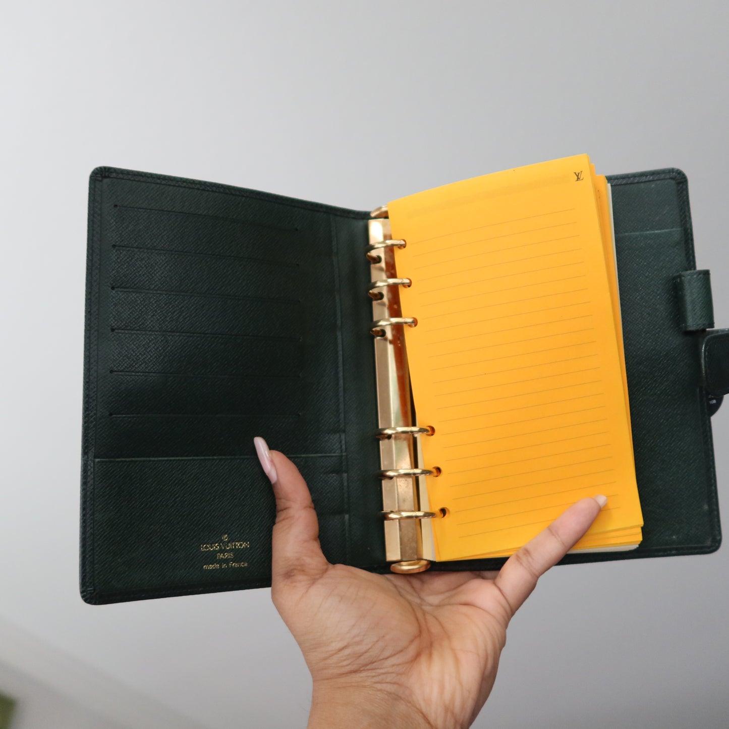 LOUIS VUITTON Taiga Leather Green Agenda MM