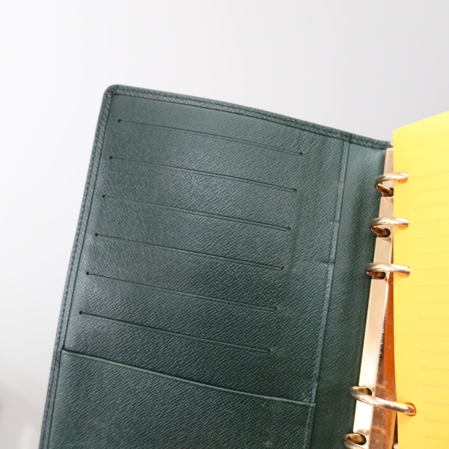 LOUIS VUITTON Taiga Leather Green Agenda MM