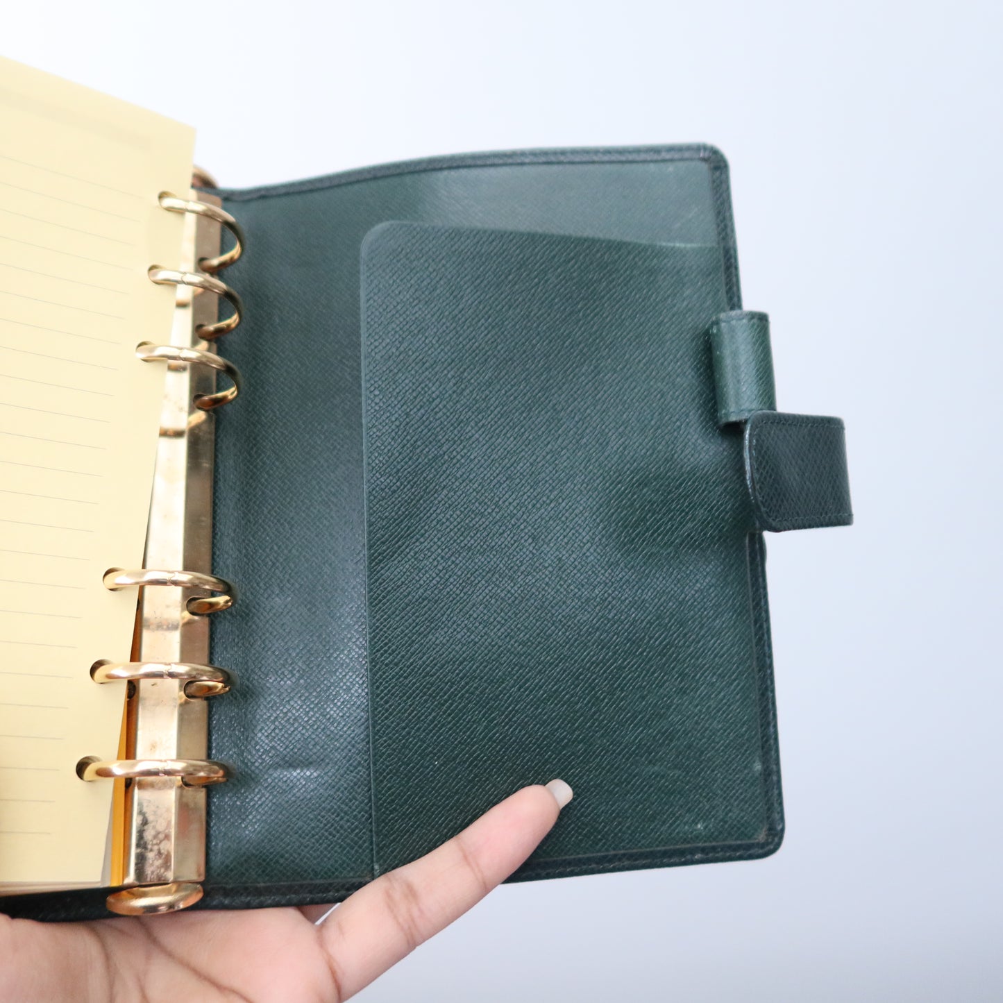 LOUIS VUITTON Taiga Leather Green Agenda MM