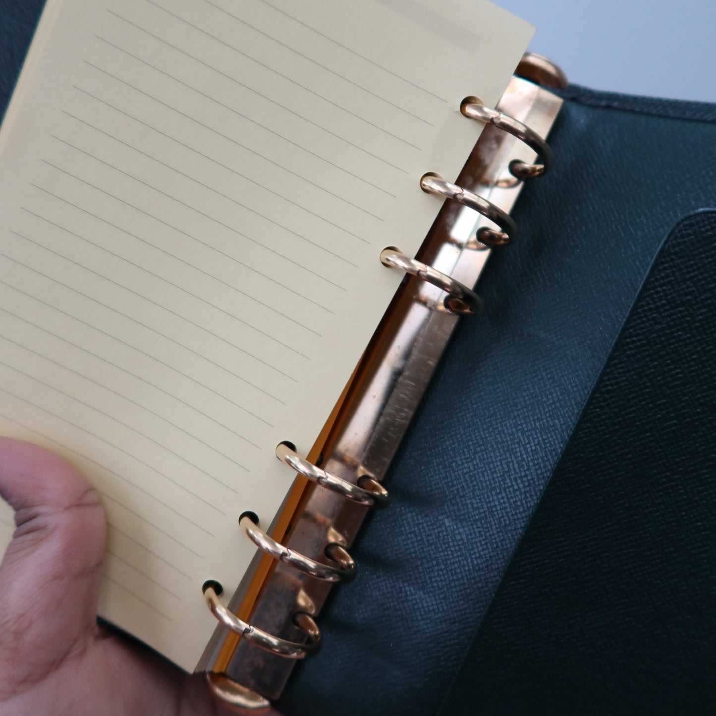 LOUIS VUITTON Taiga Leather Green Agenda MM