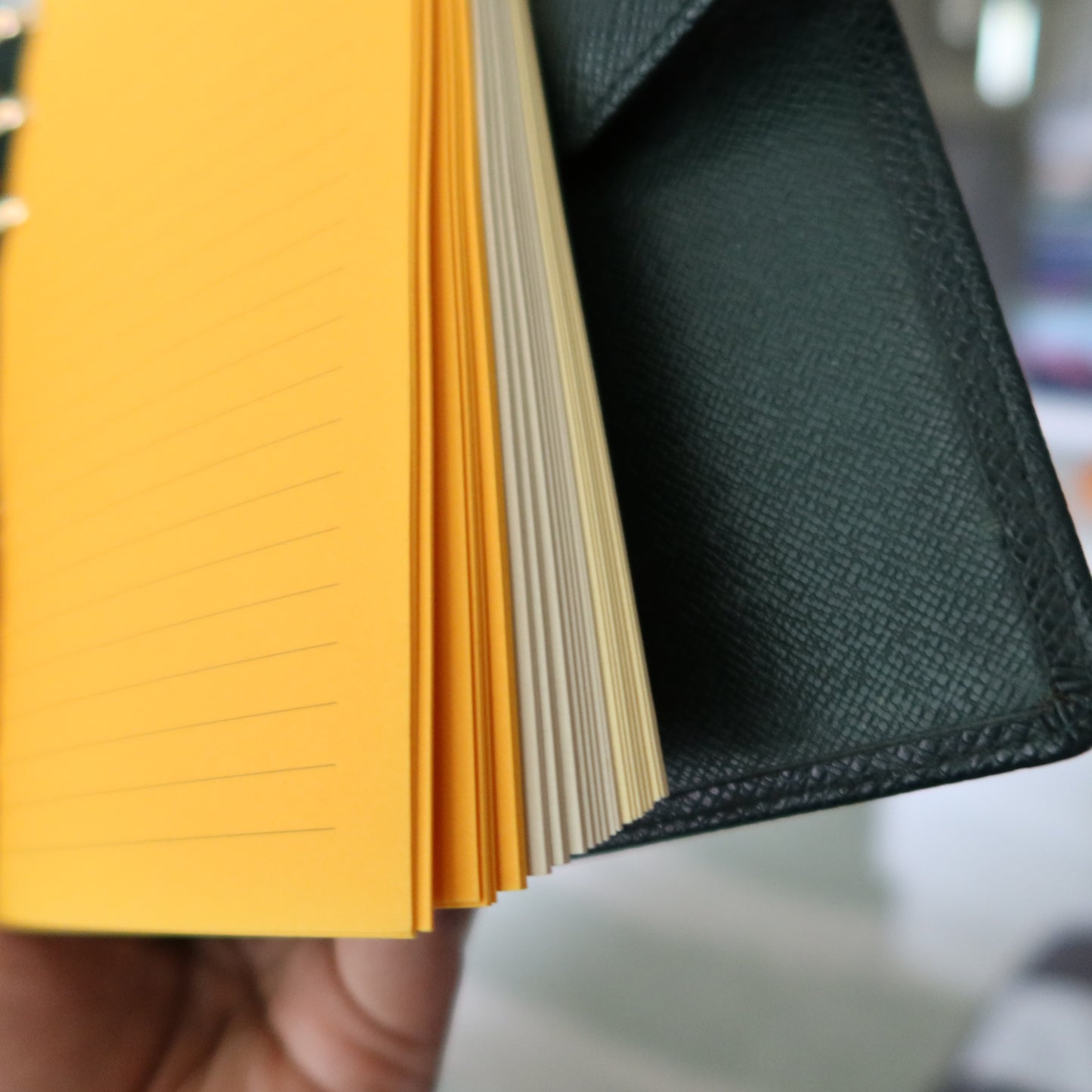 LOUIS VUITTON Taiga Leather Green Agenda MM