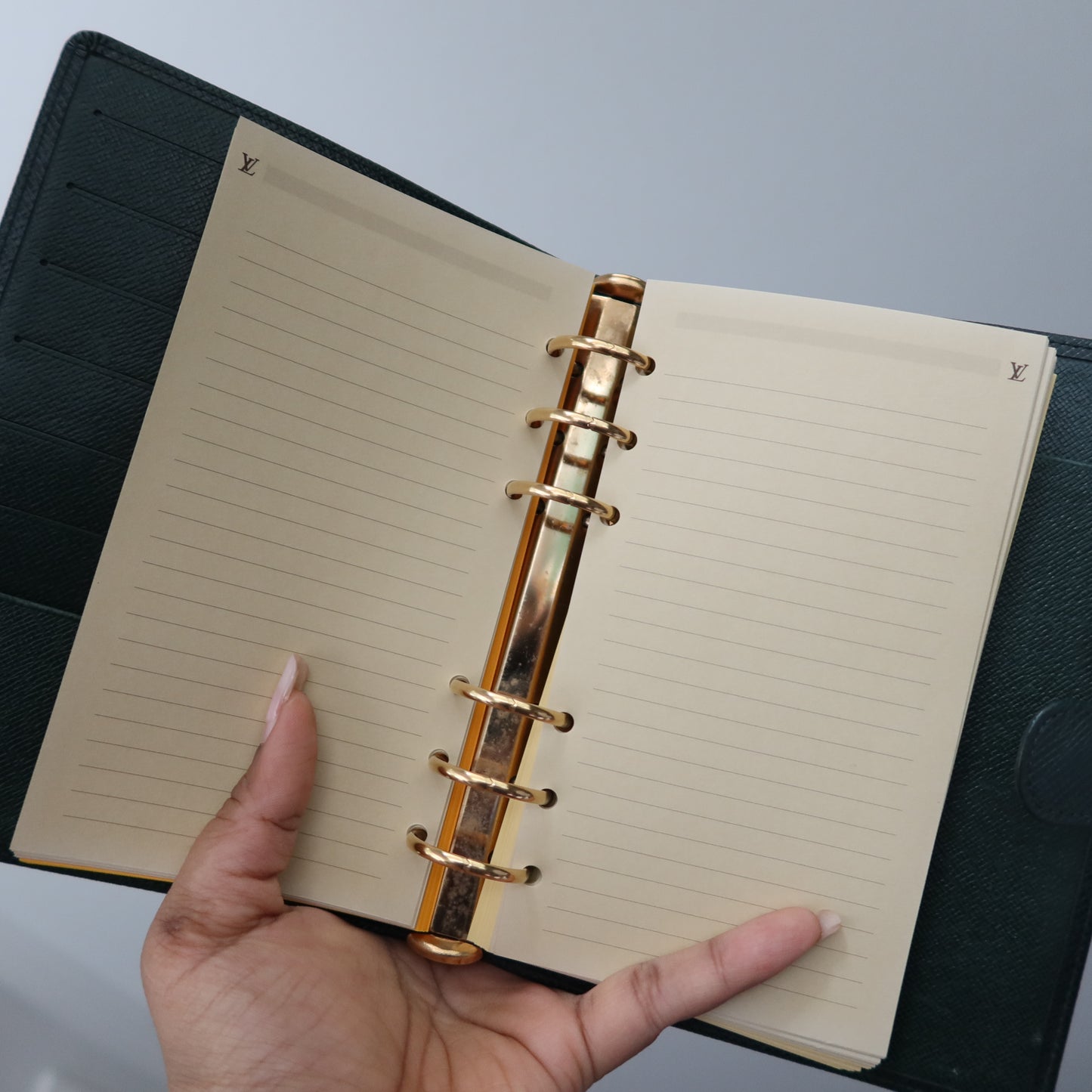 LOUIS VUITTON Taiga Leather Green Agenda MM
