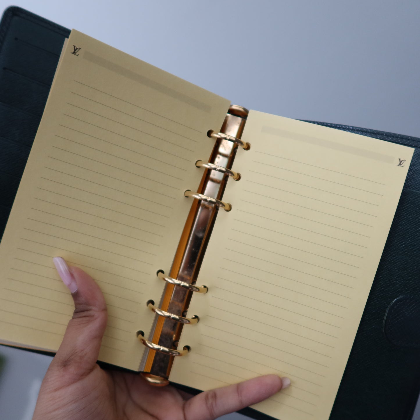 LOUIS VUITTON Taiga Leather Green Agenda MM