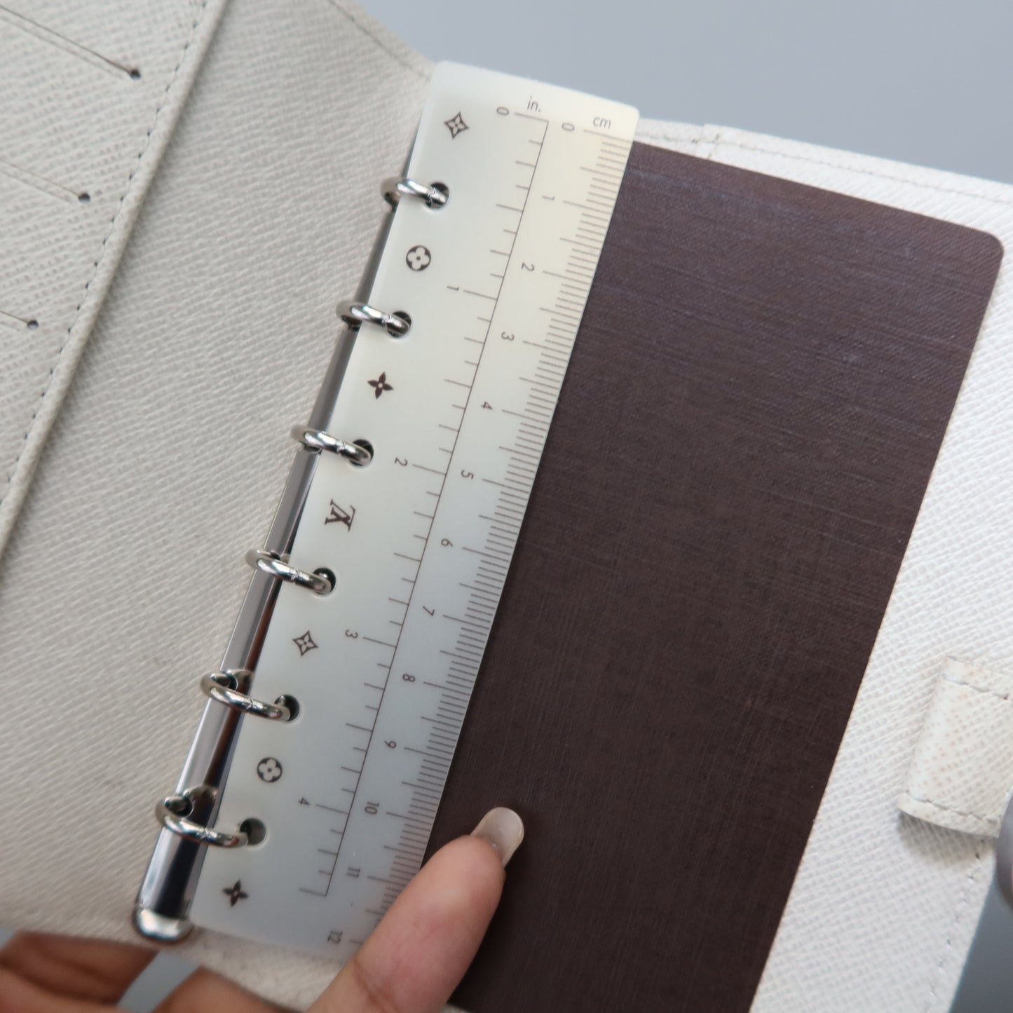 LOUIS VUITTON Cream Epi Leather Agenda MM