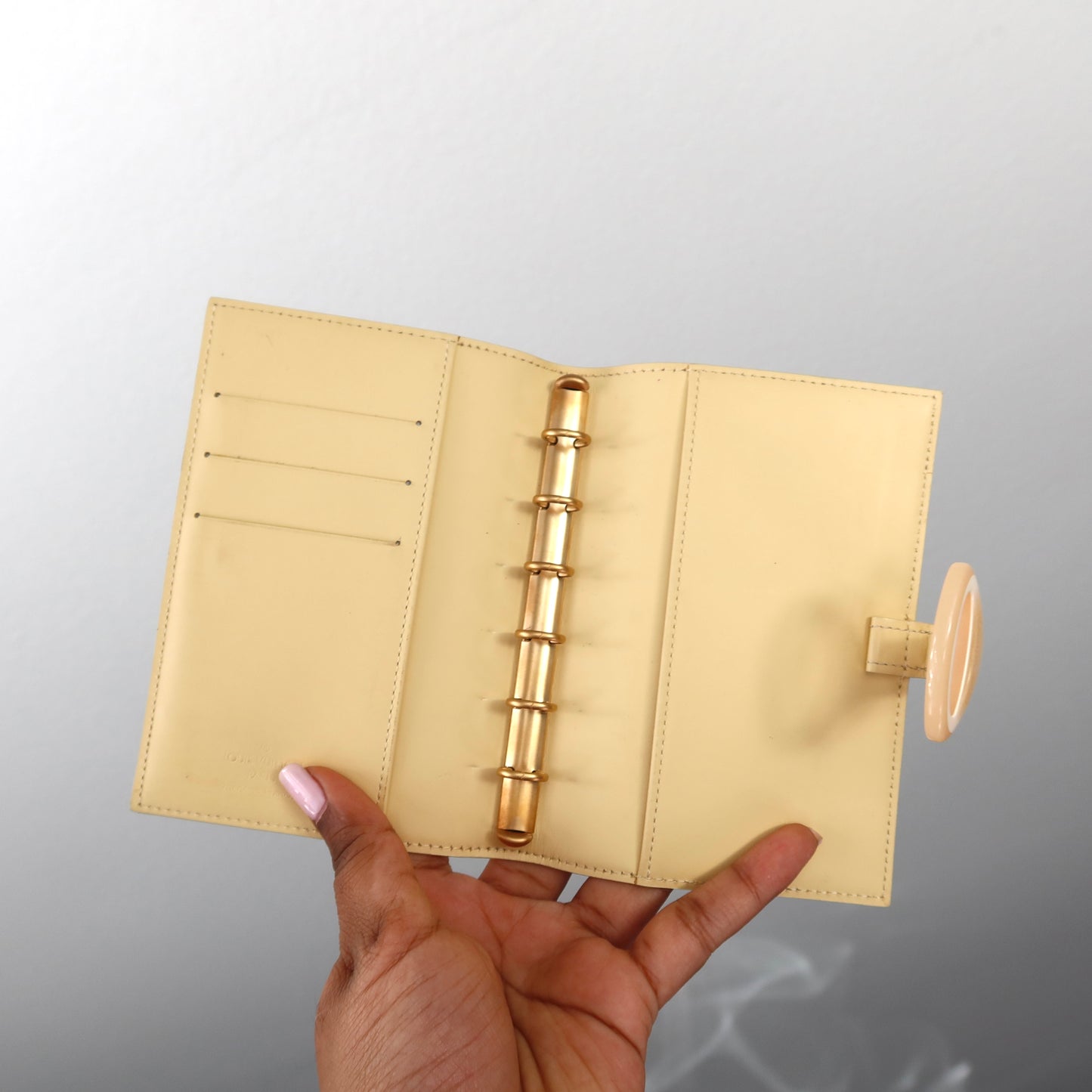 LOUIS VUITTON Butter Yellow Epi Leather Acrylic Clasp Agenda PM