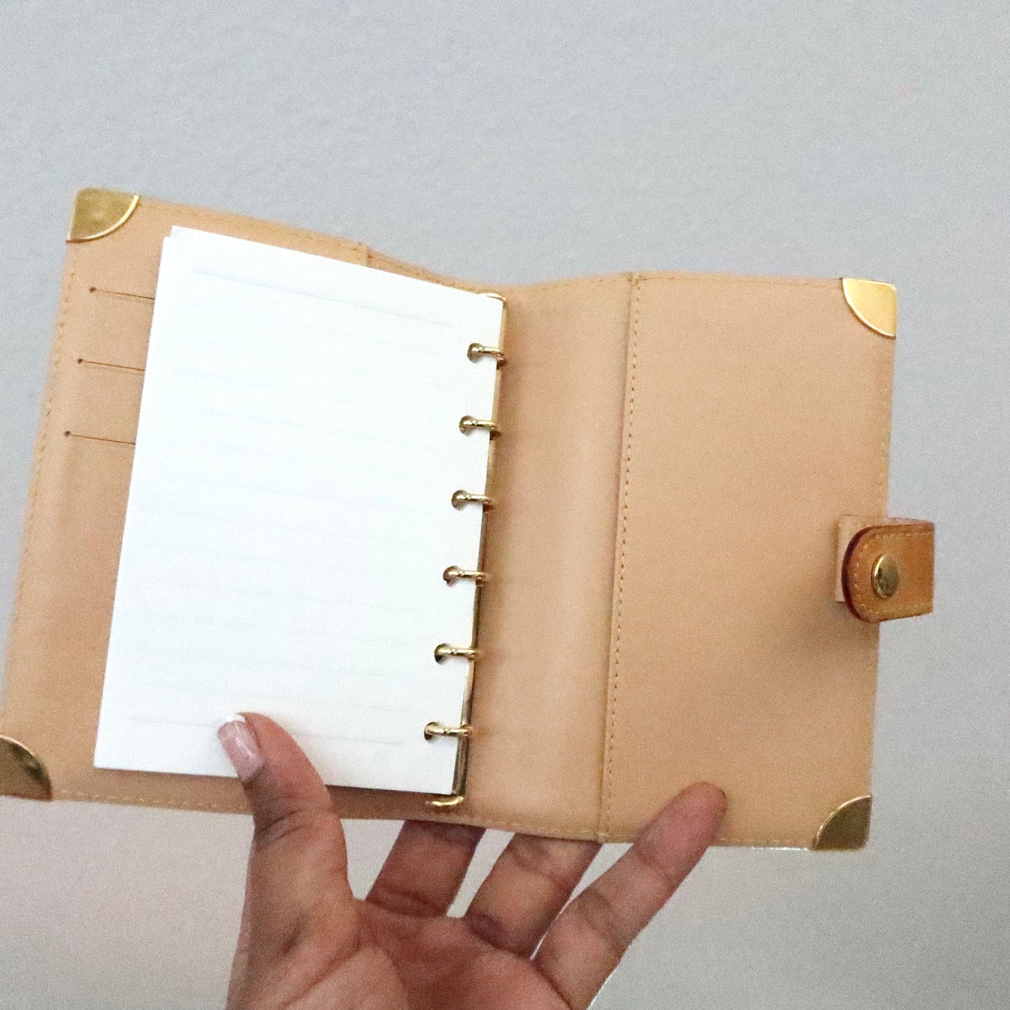 LOUIS VUITTON Murakami Multicolor White Agenda PM