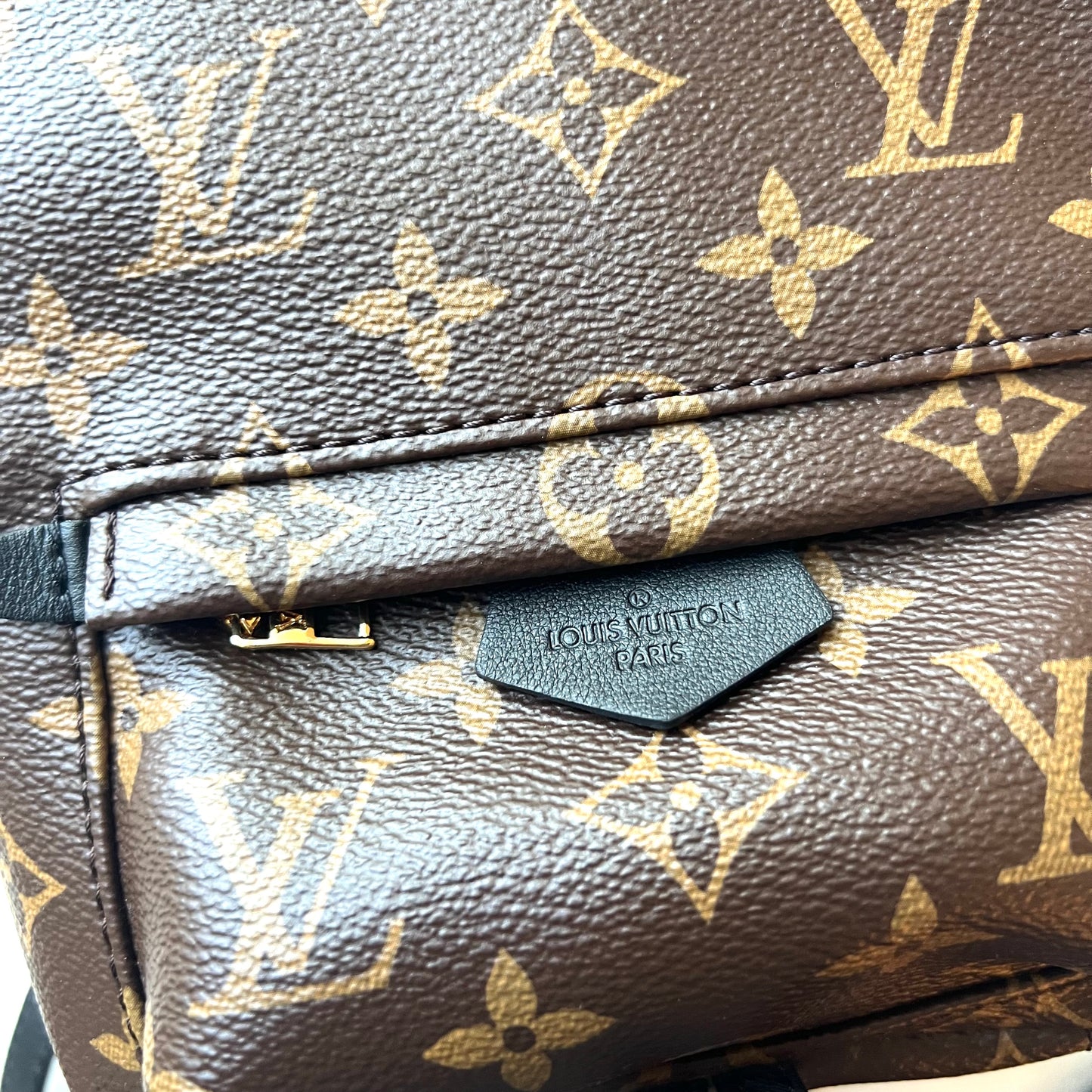 LOUIS VUITTON Monogram Palm Springs Mini Backpack