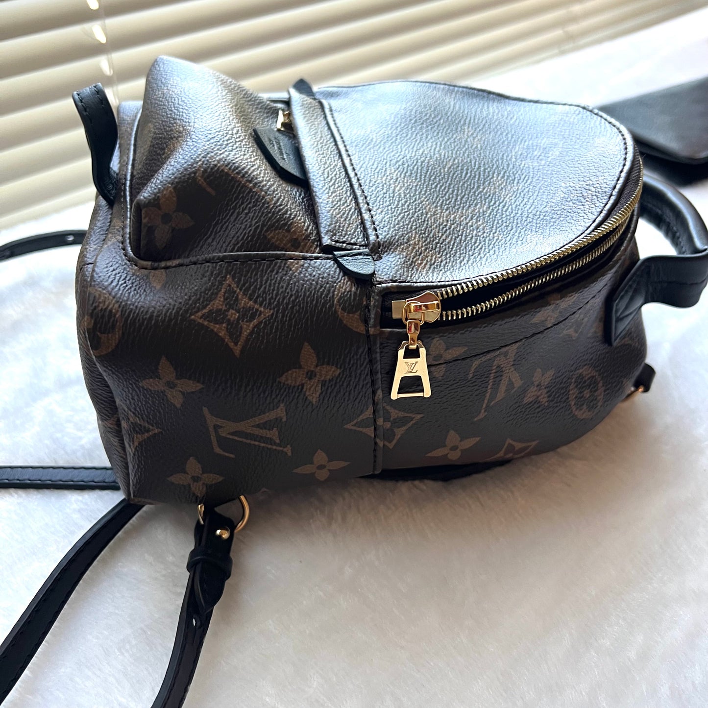 LOUIS VUITTON Monogram Palm Springs Mini Backpack
