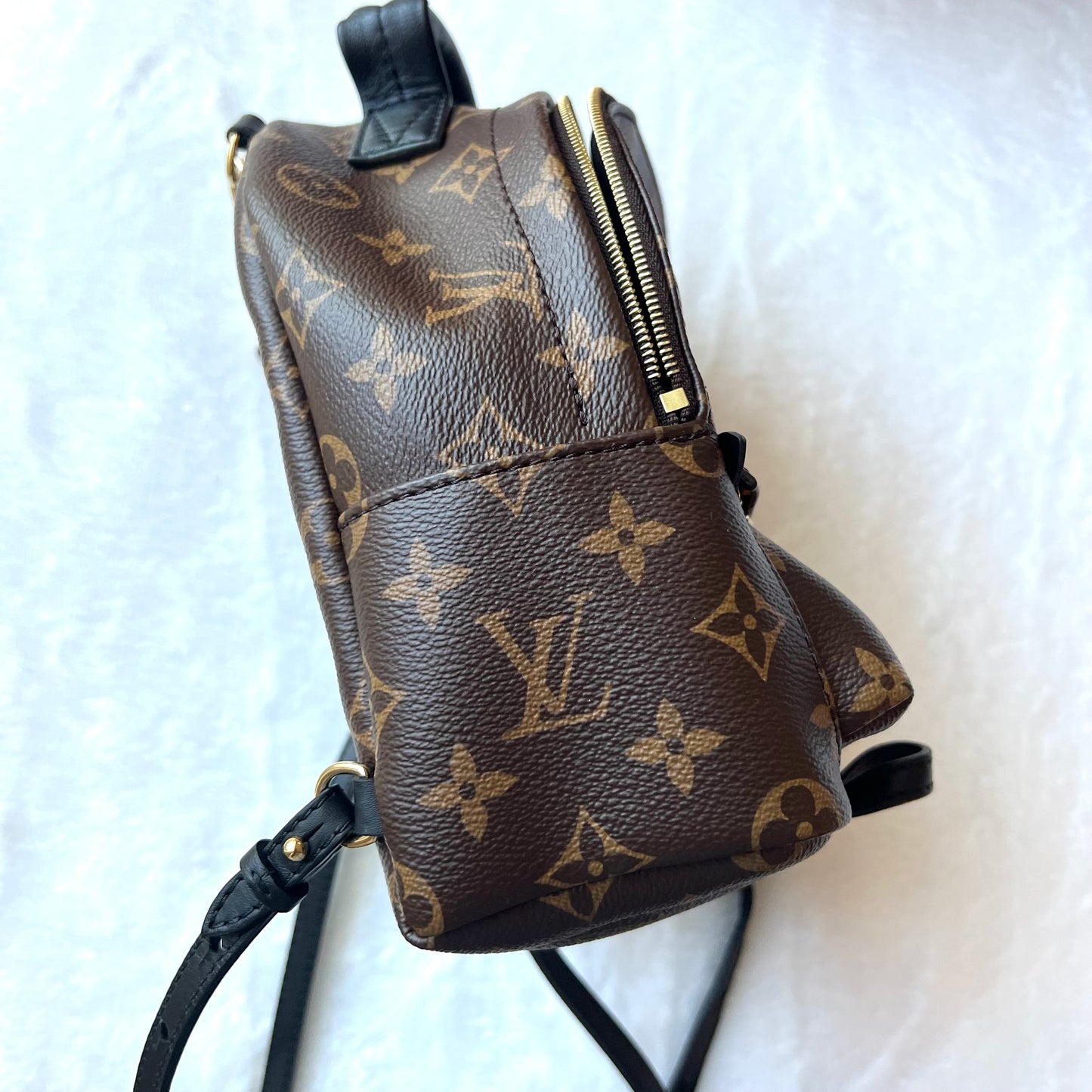 LOUIS VUITTON Monogram Palm Springs Mini Backpack