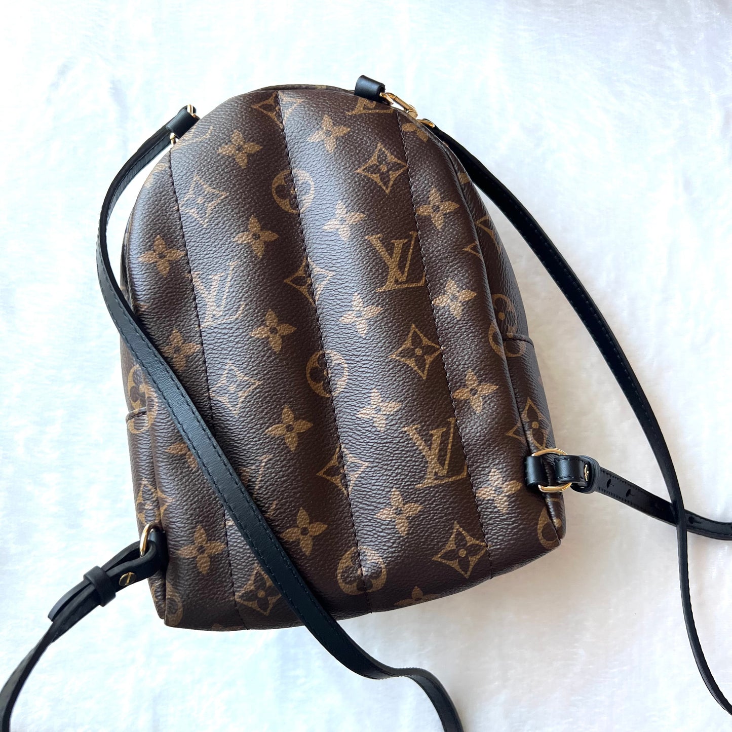 LOUIS VUITTON Monogram Palm Springs Mini Backpack
