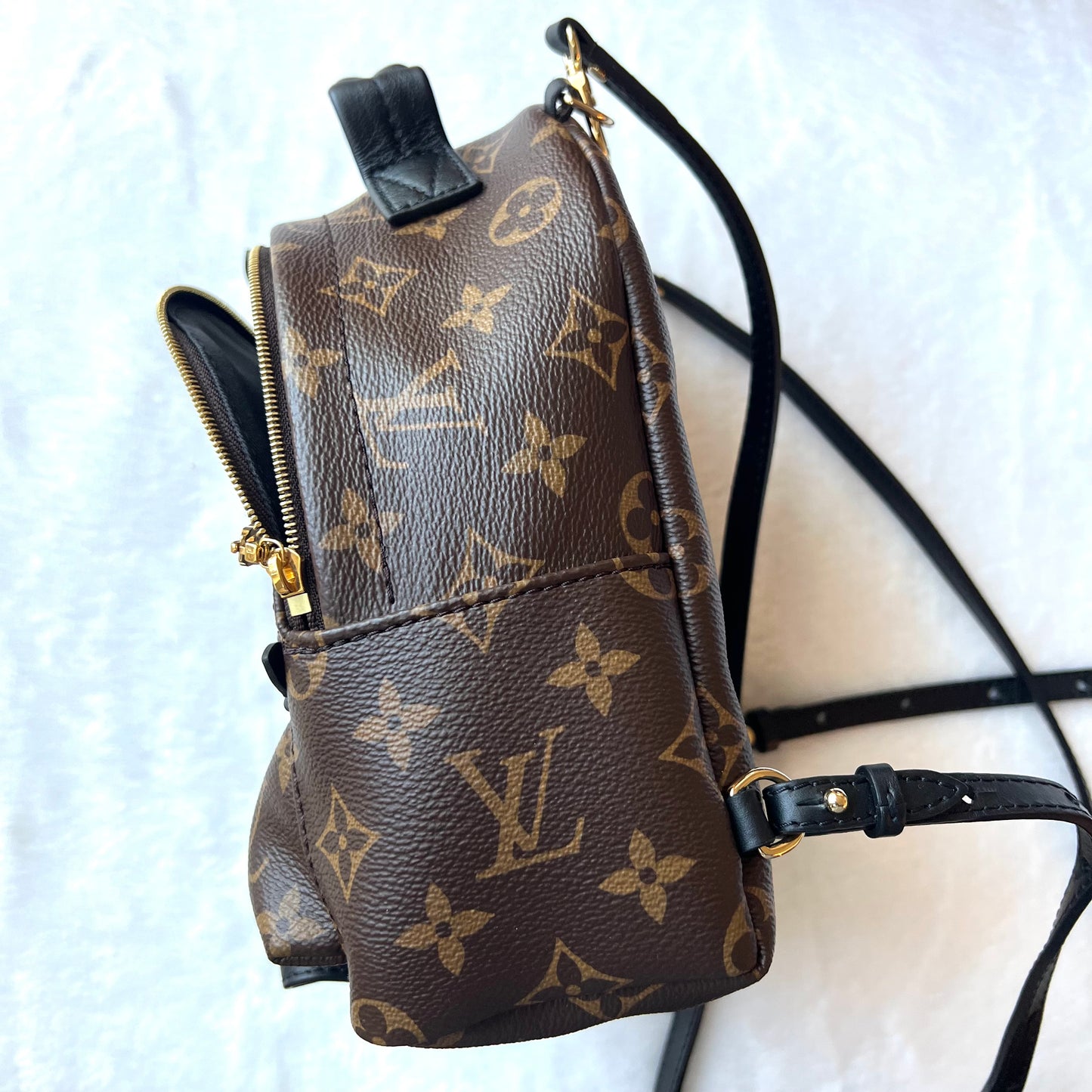 LOUIS VUITTON Monogram Palm Springs Mini Backpack