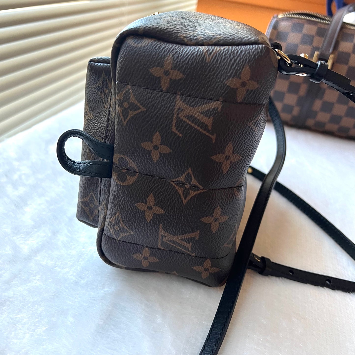 LOUIS VUITTON Monogram Palm Springs Mini Backpack
