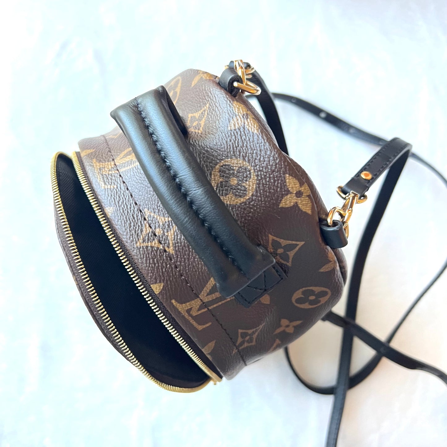 LOUIS VUITTON Monogram Palm Springs Mini Backpack