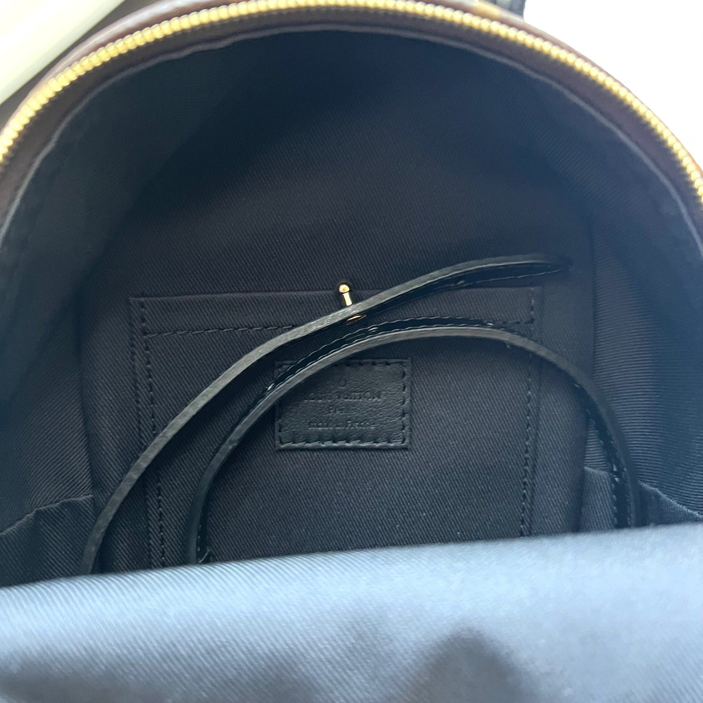 LOUIS VUITTON Monogram Palm Springs Mini Backpack