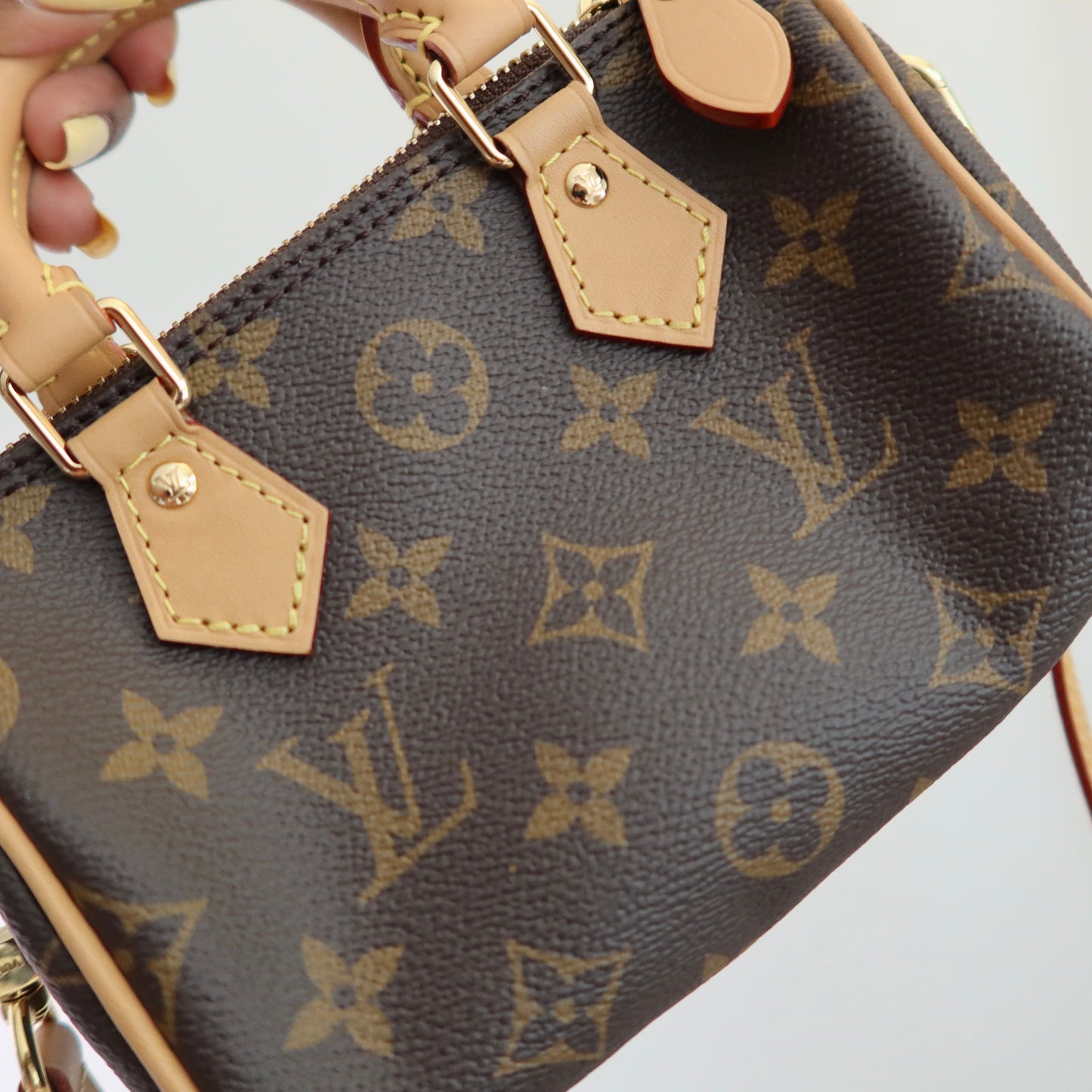 LOUIS VUITTON Monogram Nano Speedy